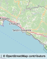 Articoli Sportivi - Dettaglio,19014La Spezia