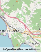 Lavanderie Industriali e Noleggio Biancheria,16039Genova