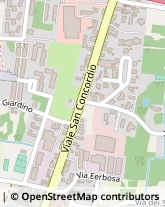 Viale San Concordio, 1825,55100Lucca