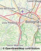 Via Aldo Pio Manuzio, 24,40132Bologna