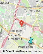 Campeggi, Villaggi Turistici e Ostelli,00118Roma