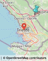 Articoli Sportivi - Dettaglio,34016Trieste