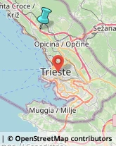 Articoli Sportivi - Dettaglio,34010Trieste