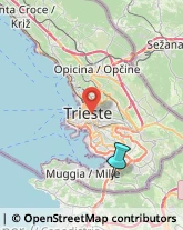 Articoli Sportivi - Dettaglio,34015Trieste