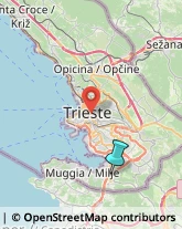 Articoli Sportivi - Dettaglio,34015Trieste