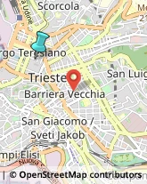 Articoli Sportivi - Dettaglio,34121Trieste