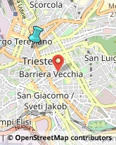 Articoli Sportivi - Dettaglio,34122Trieste