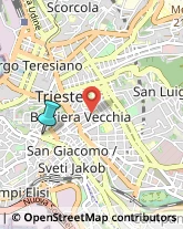 Assicurazioni,34132Trieste