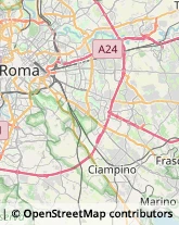 Via Manlio Torquato, 31,00181Roma