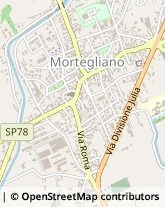 Via Dante Alighieri, 2,33050Mortegliano