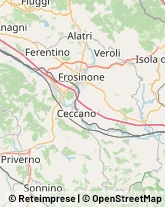 Trasporto Pubblico,03011Frosinone