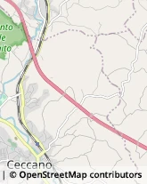 Autofficine e Centri Assistenza,03023Frosinone