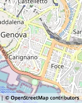 Via Fieschi, 82/R,16121Genova