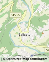 , 4,12079Saliceto