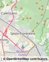 Consulenza Agricoltura e Foresta,50141Firenze