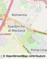 Via Francesco di Benedetto, 265,00173Roma