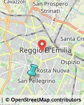 Bulbi e Sementi,42100Reggio nell'Emilia