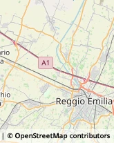 Via Premuda, 1,42123Reggio nell'Emilia