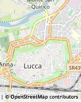 Via Santa Croce, 79,55100Lucca