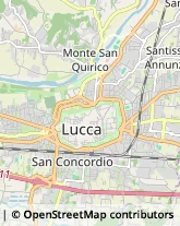 Notai,55100Lucca