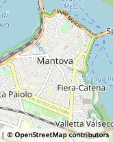 Via Giuseppe Mazzini, 16,46100Mantova