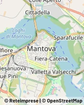 Cereali e Granaglie,46100Mantova