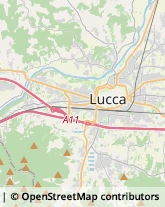 Via Salicchi, 285,55100Lucca