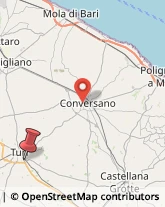 Via Putignano, 137,70010Turi