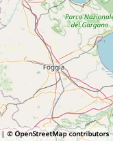 Numismatica,71036Foggia