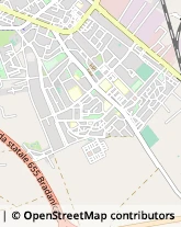 Via Padre Ardelio Della Bella, 24,71100Foggia