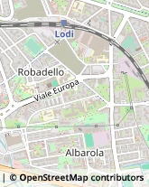 Viale Sant'Angelo, 7,26900Lodi