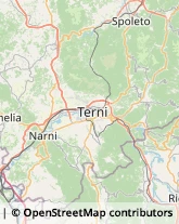 Scuole e Corsi di Lingua,05034Terni