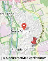 Via Rovereto, 7,21055Gorla Minore