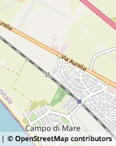 Viale Fregene, 51/A,00052Cerveteri