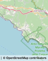 Assicurazioni,19016La Spezia