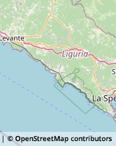 Assicurazioni,19020La Spezia