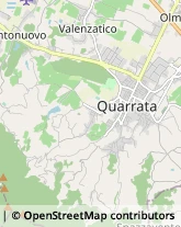 Ortofrutticoltura,51039Pistoia