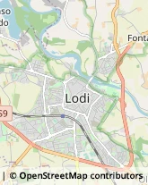 Viale dei Platani, 55,26900Lodi