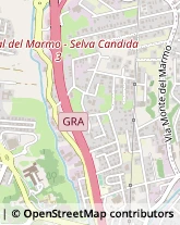 Via di Casal del Marmo, 603,00166Roma