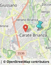 Palestre e Centri Fitness,20841Monza e Brianza