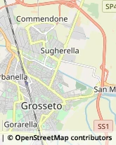 Via Birmania, 40,58100Grosseto