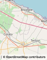 Strada Esterna Belluogo, 3,70033Corato