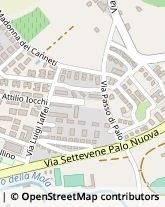 Via Passo di Palo, 8,00052Cerveteri