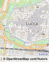 Assicurazioni,55100Lucca