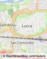 Assicurazioni,55100Lucca