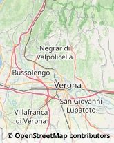 Via Carmagnola, 32,37135Verona