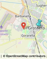 Agenti e Rappresentanti di Commercio,58100Grosseto