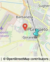 Agenti e Rappresentanti di Commercio,58100Grosseto