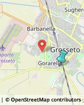 Agenti e Rappresentanti di Commercio,58100Grosseto