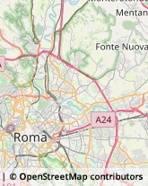 Agenzie di Animazione e Spettacolo,00198Roma